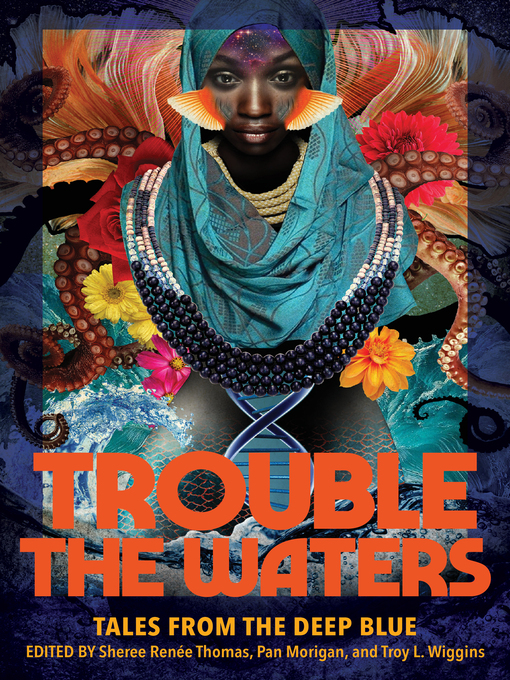 Cover image for Trouble the Waters